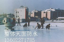 廣州市番禺區(qū)臺實防水補漏防腐工程公司 專業(yè)管道疏通服務(wù)與品牌生產(chǎn)供應(yīng)商
